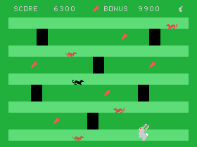 What's that? A Black Weasel?!